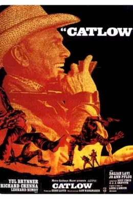 Affiche du film Catlow