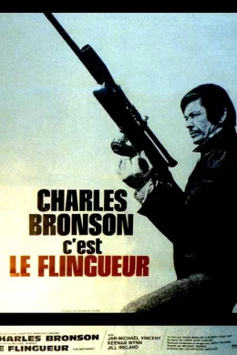 Affiche du film Le flingueur