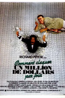 Affiche du film Comment claquer un million de dollars