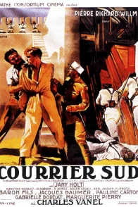 Affiche du film : Courrier Sud