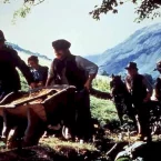 Photo du film : L'anglais qui gravit une colline mais descendit une montagne