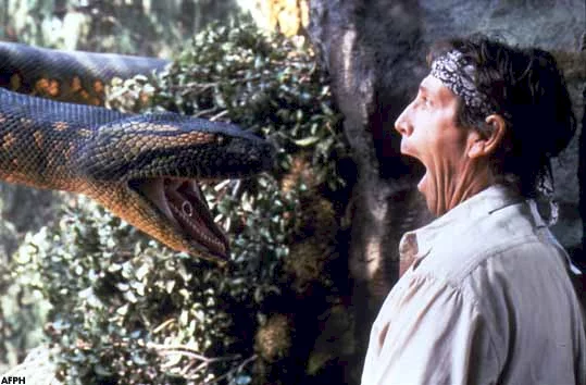 Photo 3 du film : Anaconda le prédateur