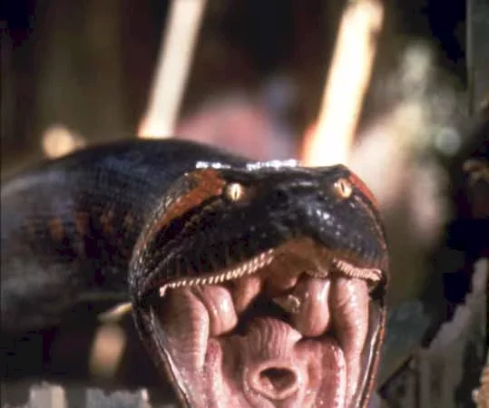 Photo du film : Anaconda le prédateur