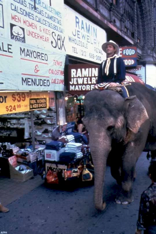 Photo 2 du film : Un elephant sur les bras