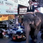 Photo du film : Un elephant sur les bras