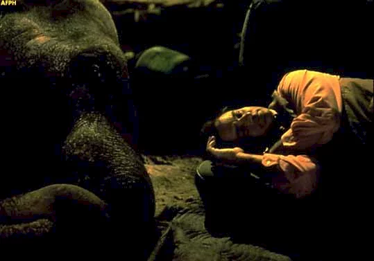 Photo 3 du film : Un elephant sur les bras