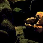 Photo du film : Un elephant sur les bras