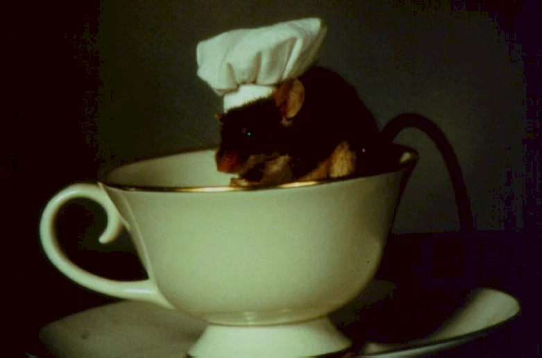 Photo 5 du film : La souris