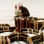 Photo du film : La route du sel
