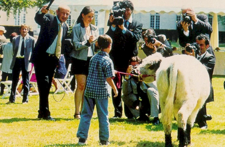 Photo 6 du film : La vache et le président