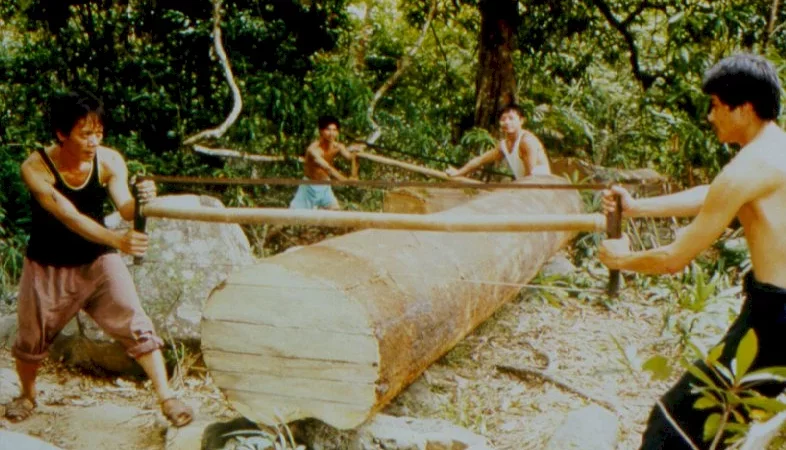 Photo du film : Les coupeurs de bois
