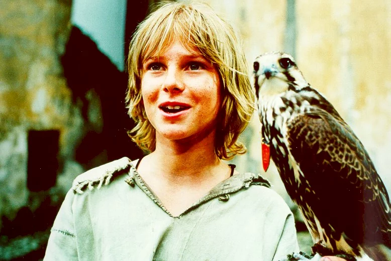 Photo du film : Thomas le fauconnier