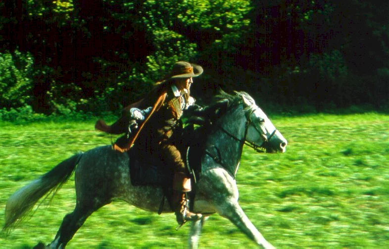 Photo 15 du film : D'Artagnan