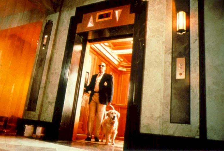 Photo 8 du film : L'ascenseur (niveau 2)
