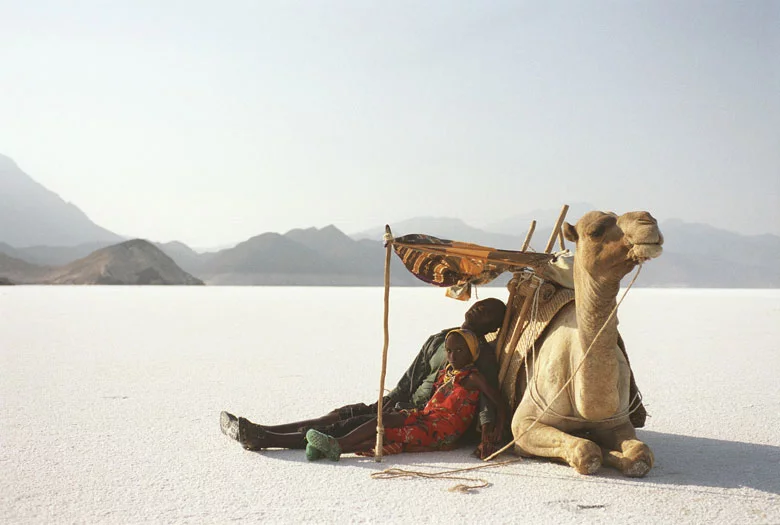Photo 11 du film : Si le vent souleve les sables