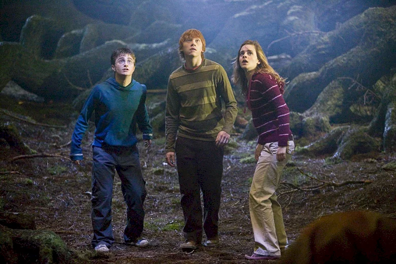 Photo 10 du film : Harry Potter et l'Ordre du Phénix