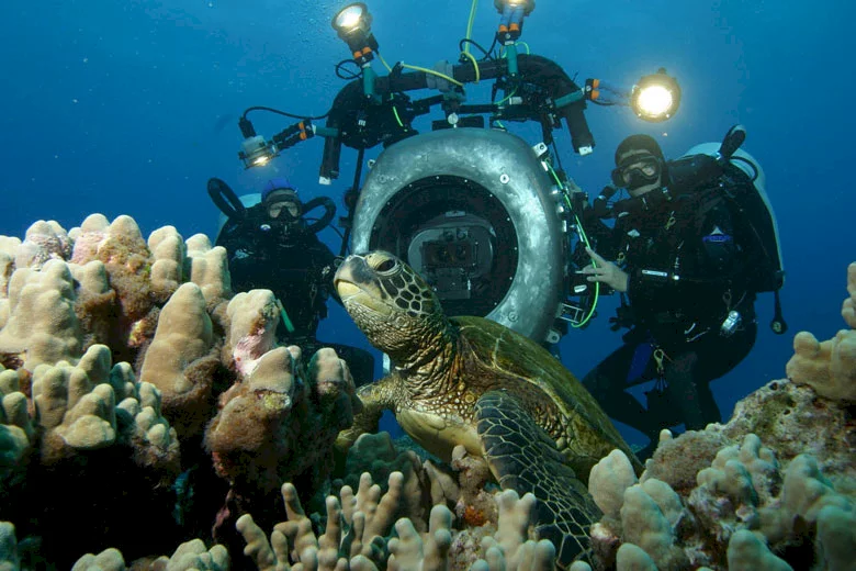 Photo du film : Deep sea