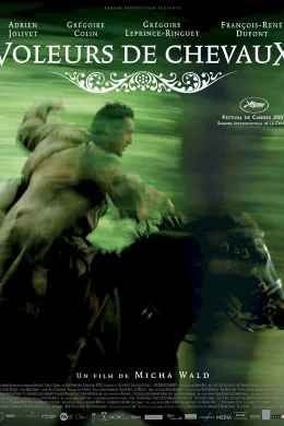 Affiche du film Voleurs de chevaux