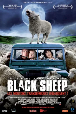 Affiche du film Black sheep