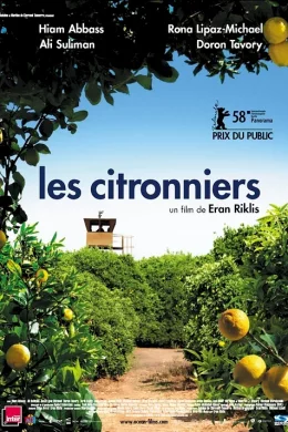 Affiche du film Les citronniers