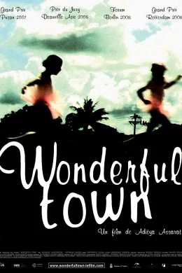 Affiche du film Wonderful town
