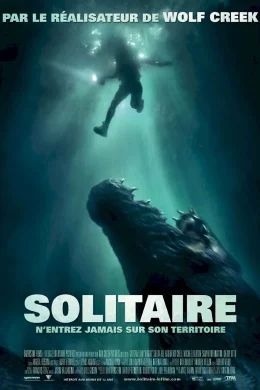Affiche du film Solitaire