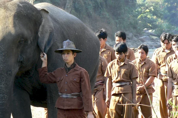 Photo 3 du film : Sunny et l'éléphant 