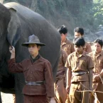 Photo du film : Sunny et l'éléphant 
