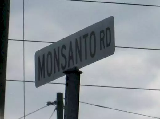 Photo 2 du film : Le Monde selon Monsanto
