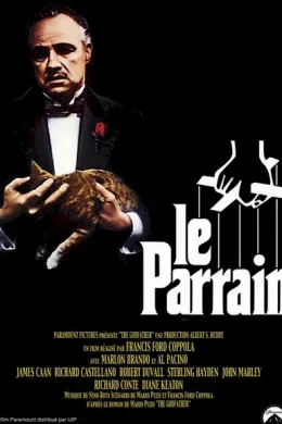 Affiche du film Le Parrain