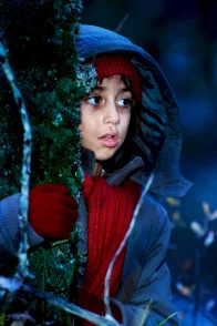 Affiche du film : Irina, la mallette rouge