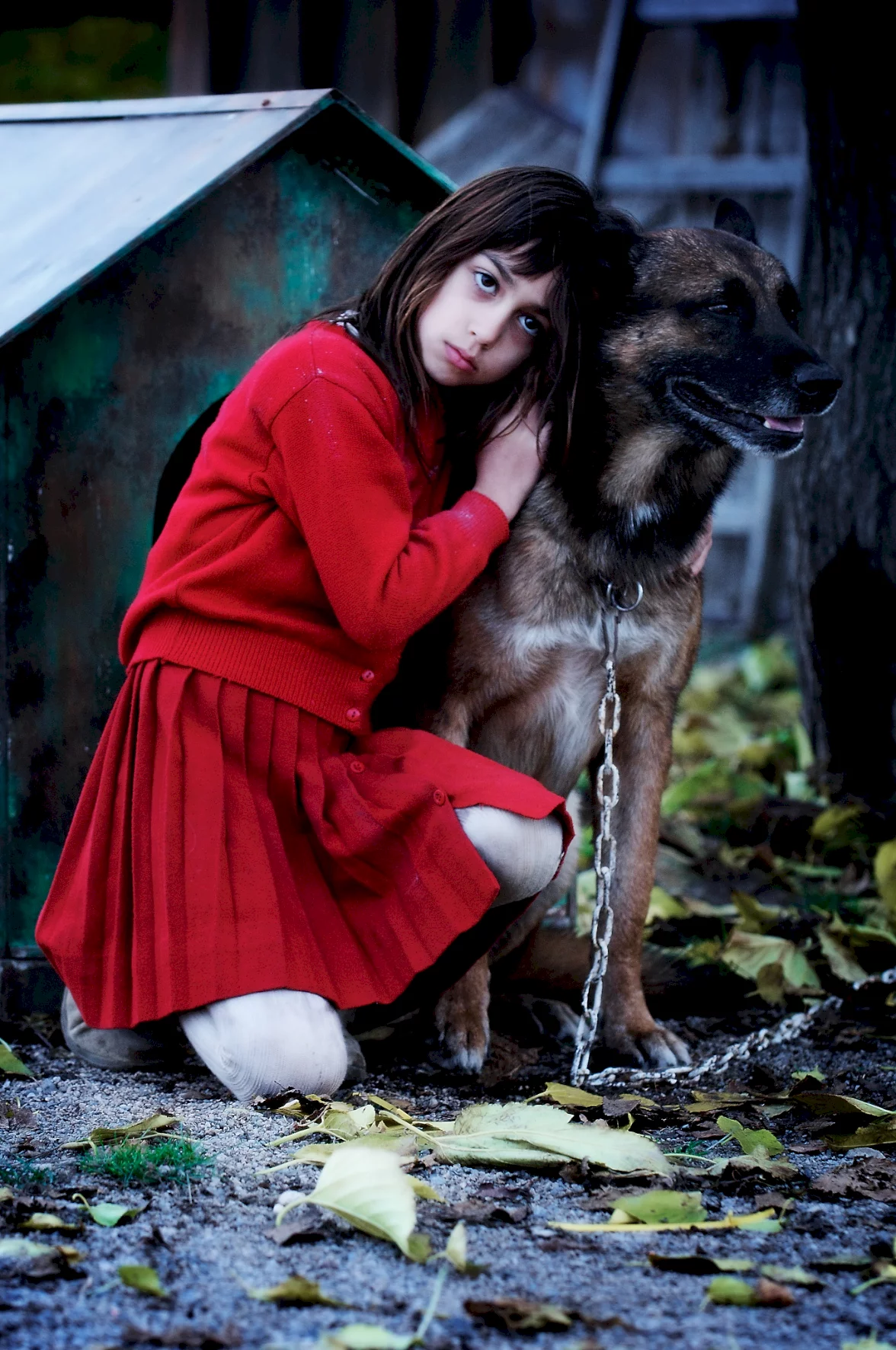 Photo 11 du film : Irina, la mallette rouge