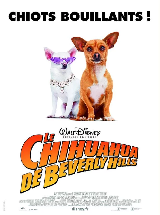 Photo 1 du film : Le Chihuahua de Beverly Hills