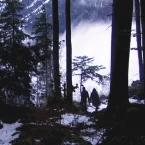 Photo du film : Un lac