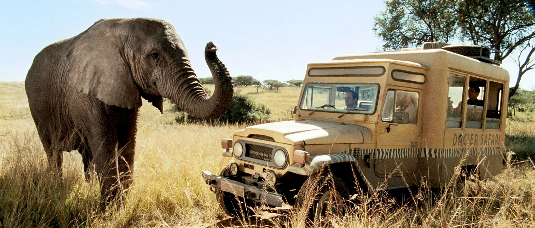 Photo du film : Safari