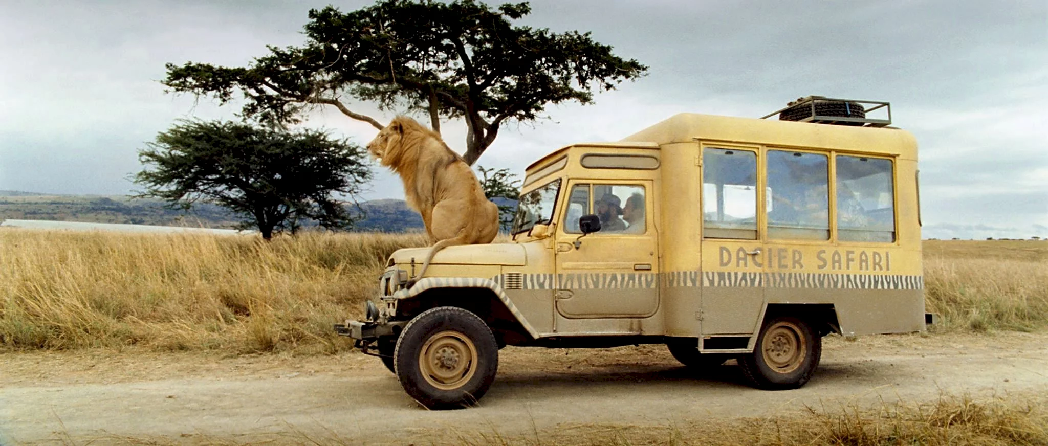 Photo 14 du film : Safari