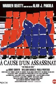 Affiche du film : A cause d'un assassinat