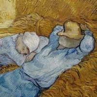 Photo 4 du film : Moi, Van Gogh