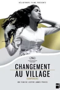 Affiche du film : Changement au village