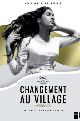 Affiche du film Changement au village