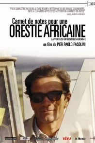 Affiche du film : Carnet de notes pour une orestie africaine