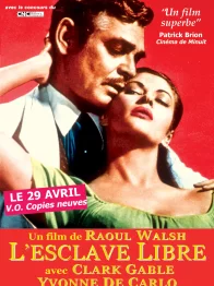 Photo dernier film Clark Gable