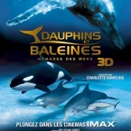 Photo du film : Dauphins et Baleines 3D, nomades des Mers