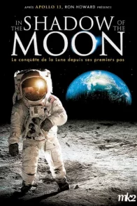 Affiche du film : In the shadow of the moon