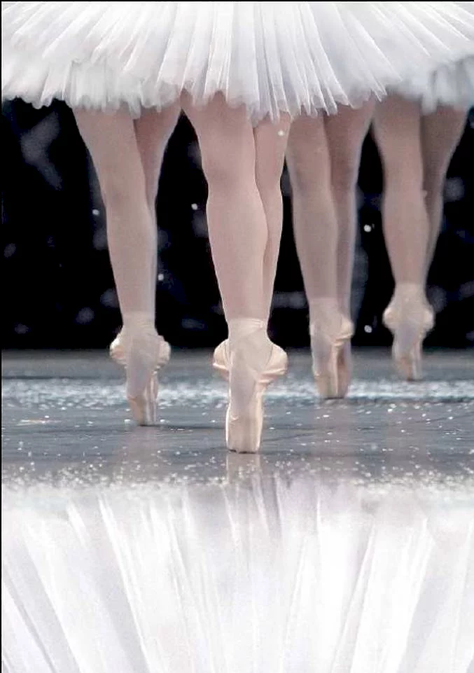 Photo 4 du film : La danse, le ballet de l'opéra de Paris