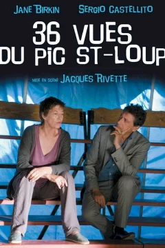 Affiche du film = 36 vues du Pic Saint-Loup