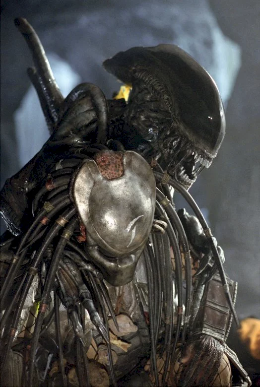 Photo 3 du film : Alien vs predator