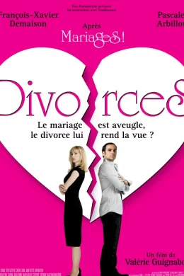 Affiche du film Divorces