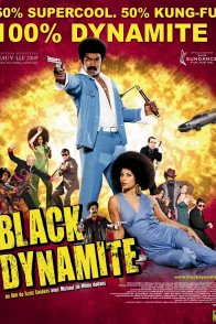 Affiche du film : Black Dynamite