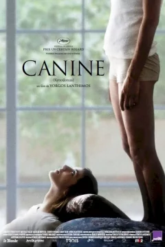 Affiche du film = Canine